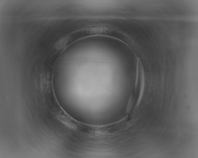 X0000053160737200507111507