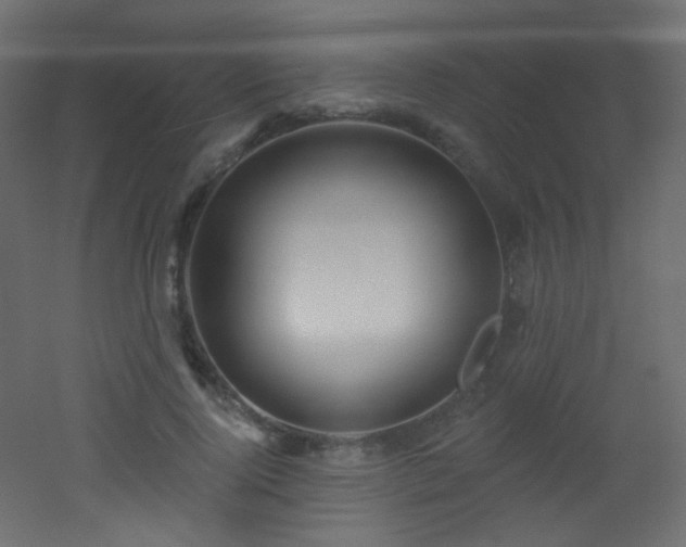 X0000053160740200507111507
