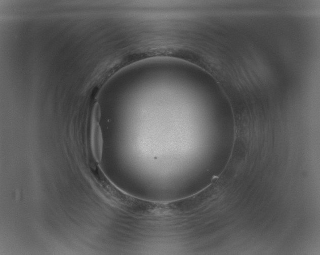 X0000053160742200507111507