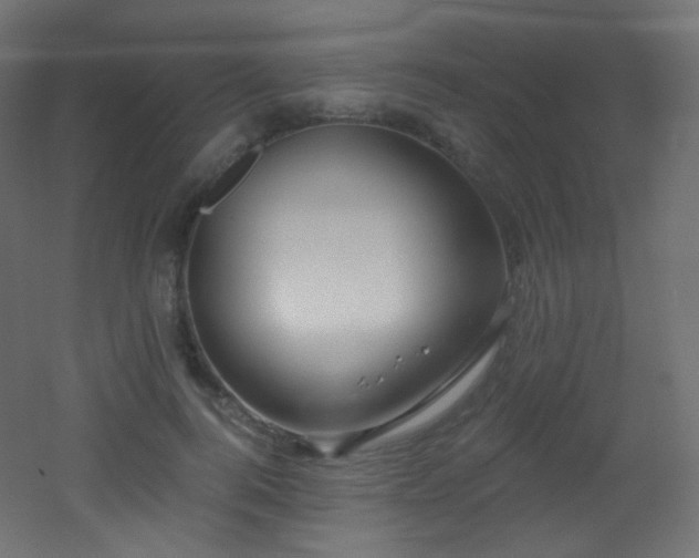 X0000053160744200507111507