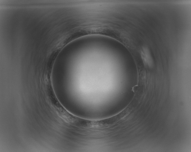 X0000053160746200507111507