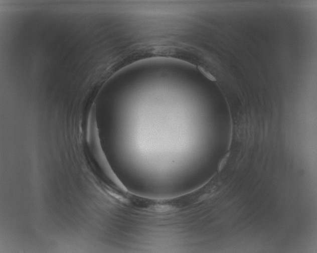 X0000053160748200507111507