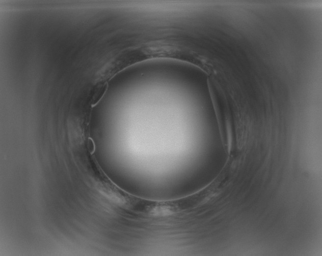 X0000053160751200507111507
