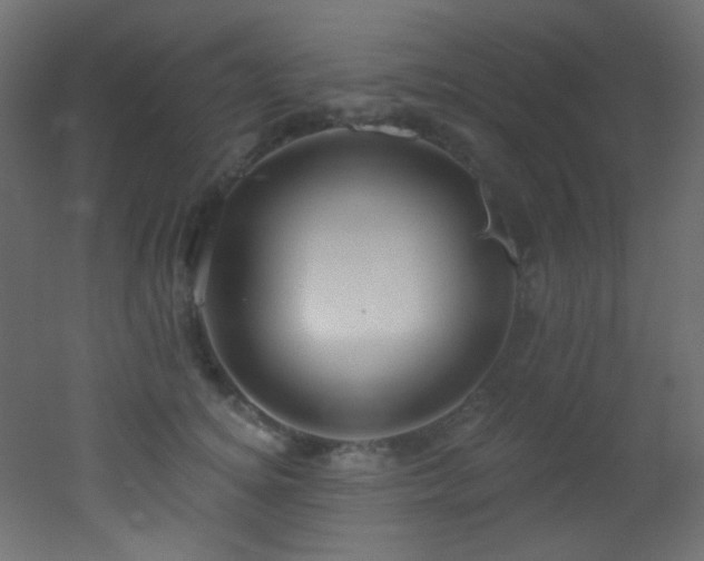 X0000053160756200507111507