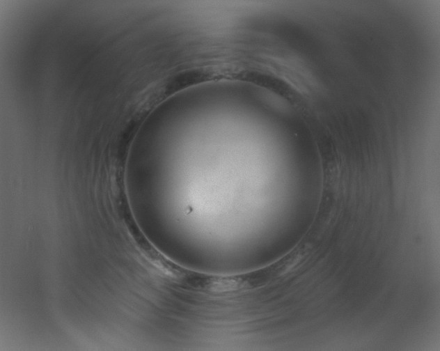 X0000053160757200507111507