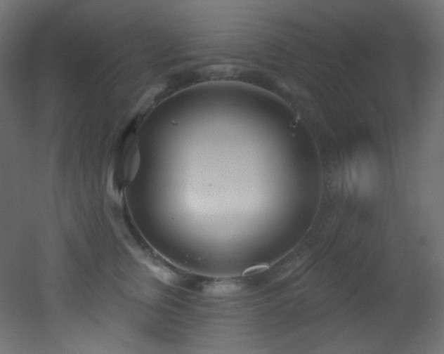 X0000053160759200507111507