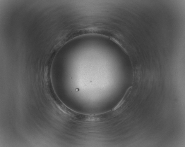 X0000053160760200507111507