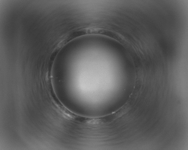 X0000053160761200507111507