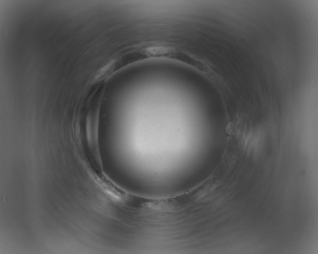 X0000053160763200507111507