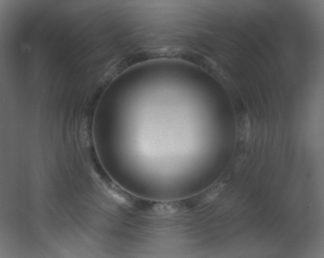 X0000053160764200507111507