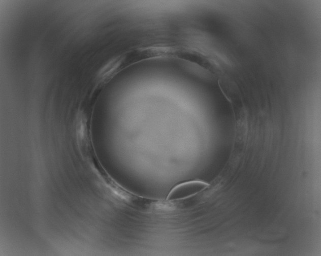 X0000053160765200507111507