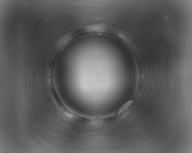 X0000053160767200507111507