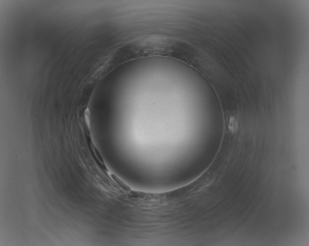 X0000053160771200507111506
