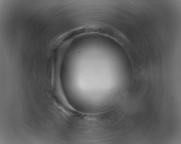 X0000053160773200507111506