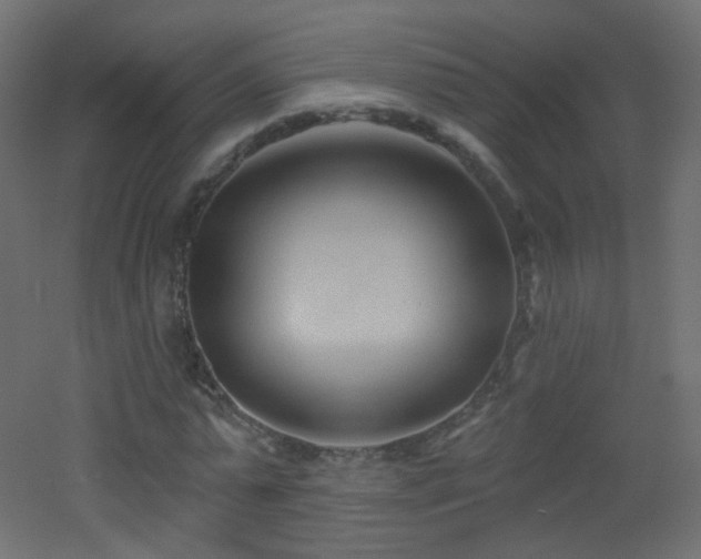 X0000053160775200507111506