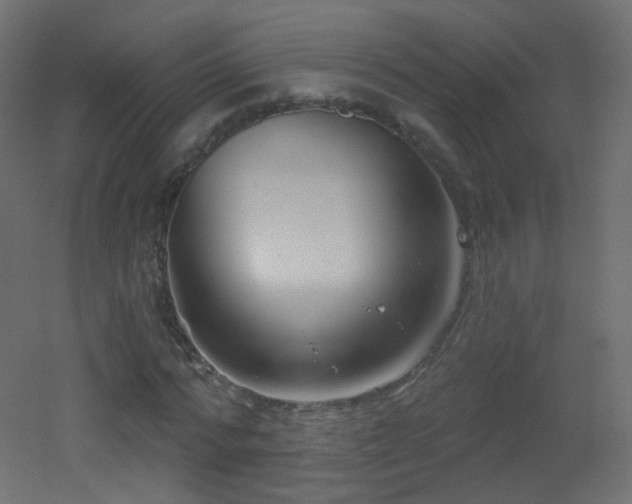 X0000053160776200507111506