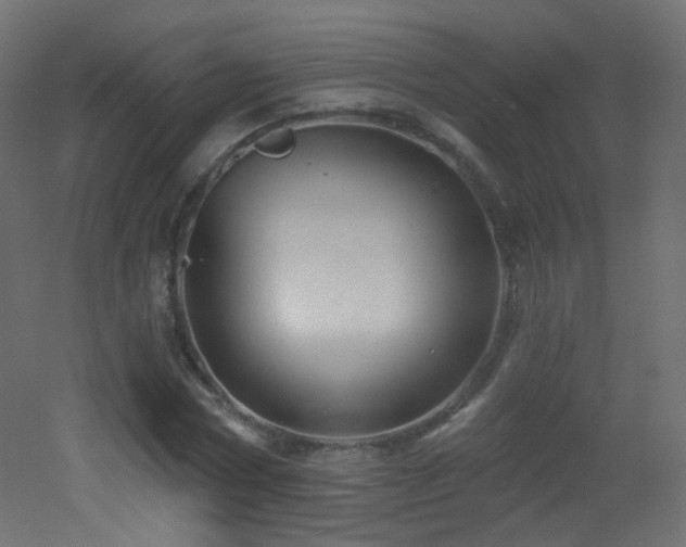 X0000053160778200507111506