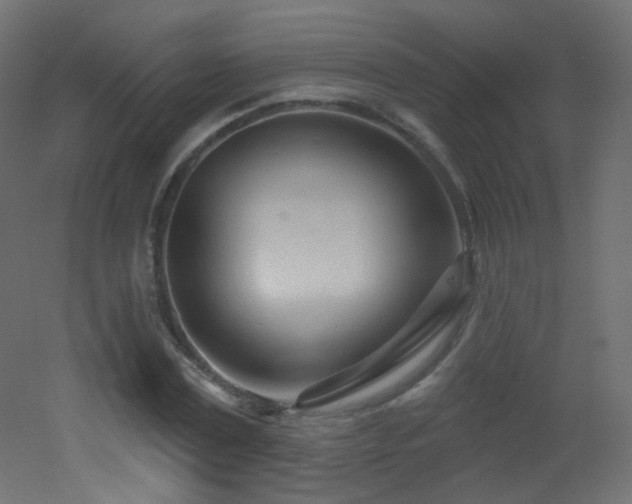X0000053160779200507111506