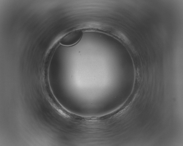 X0000053160780200507111506
