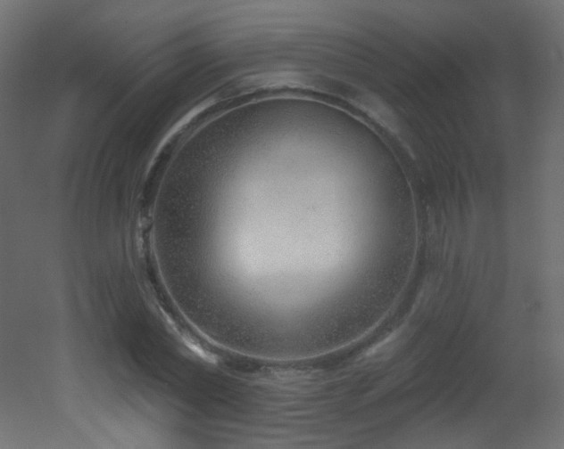 X0000053160782200507111506
