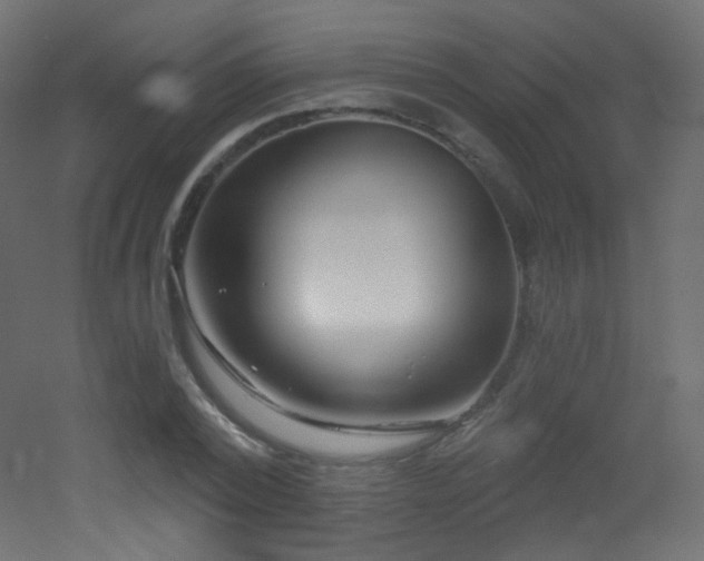 X0000053160784200507111506