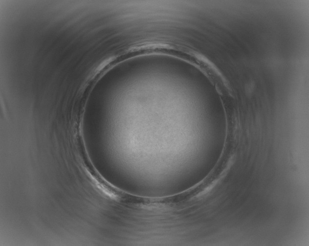 X0000053160785200507111506