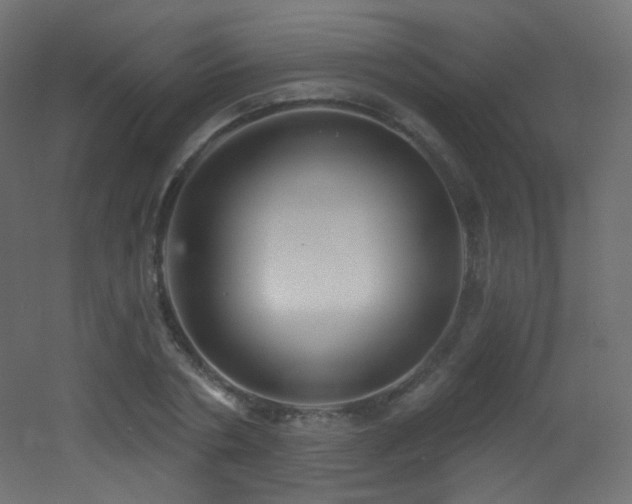 X0000053160786200507111506