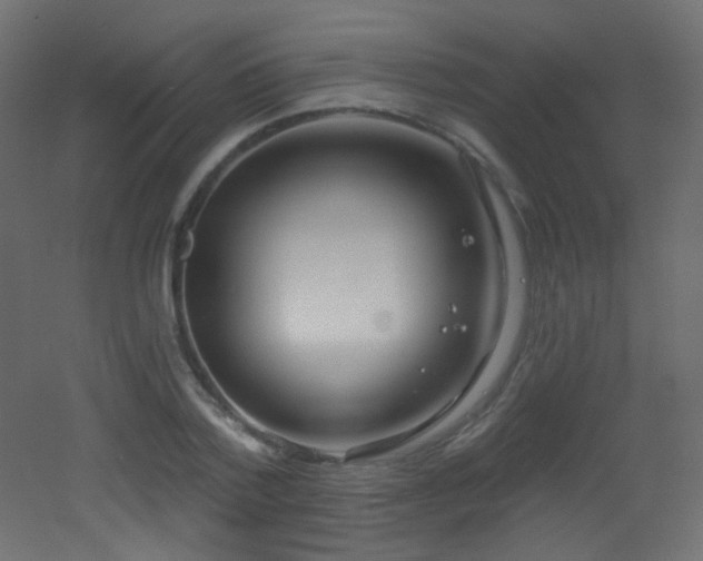 X0000053160788200507111506