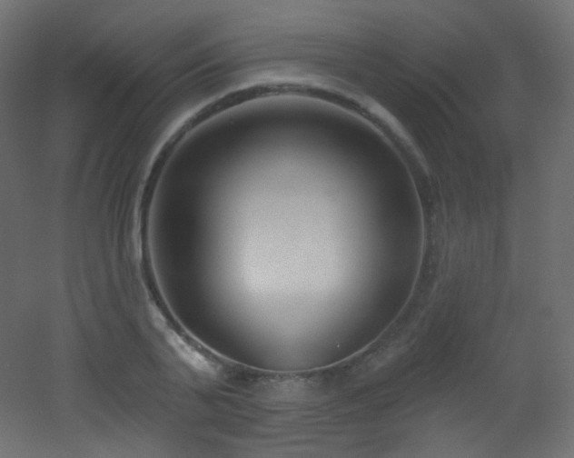X0000053160791200507111506