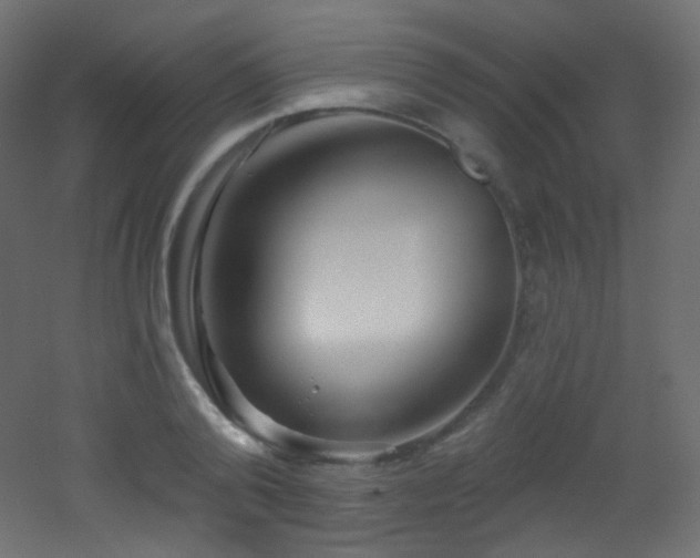 X0000053160792200507111506
