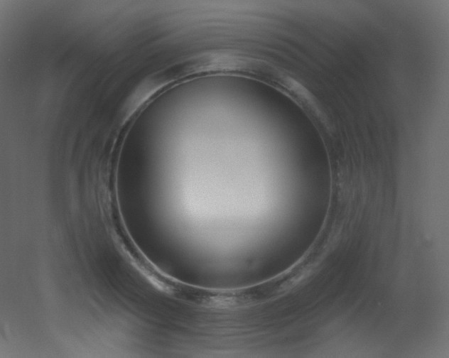 X0000053160794200507111506
