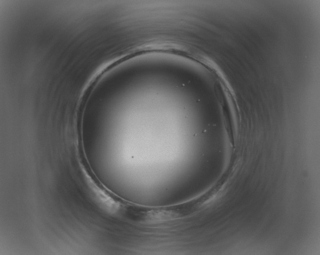 X0000053160795200507111506