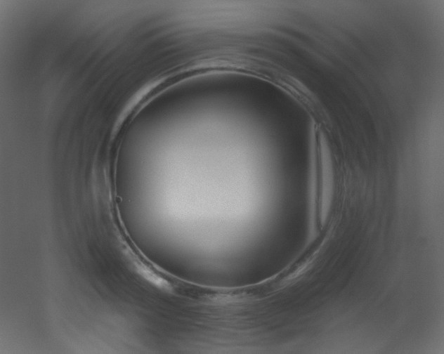 X0000053160796200507111506