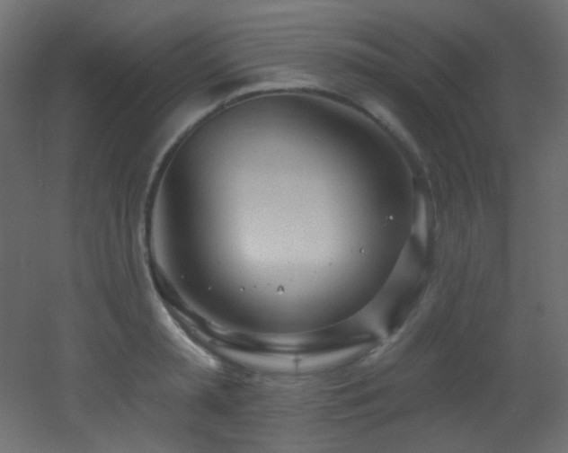 X0000053160797200507111506