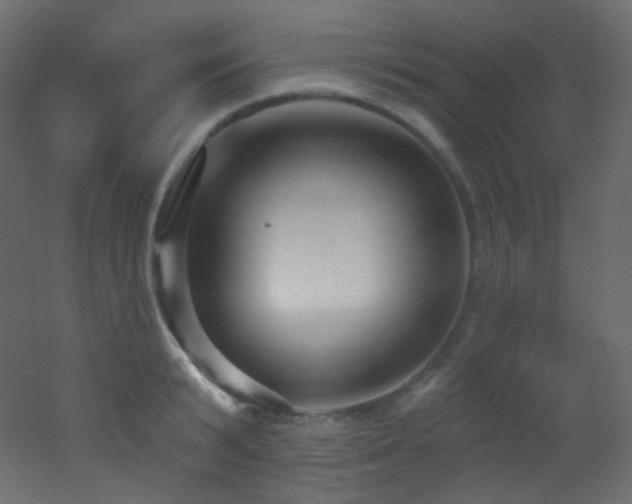 X0000053160799200507111506