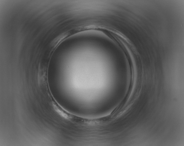 X0000053160801200507111506