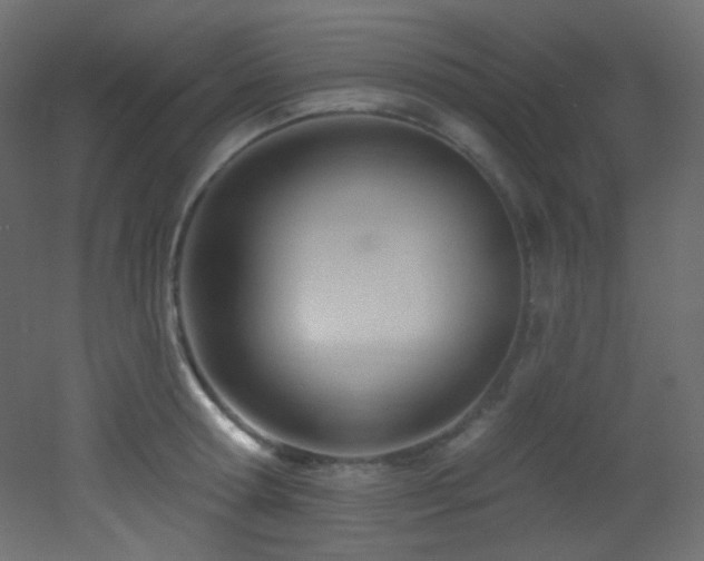 X0000053160802200507111506