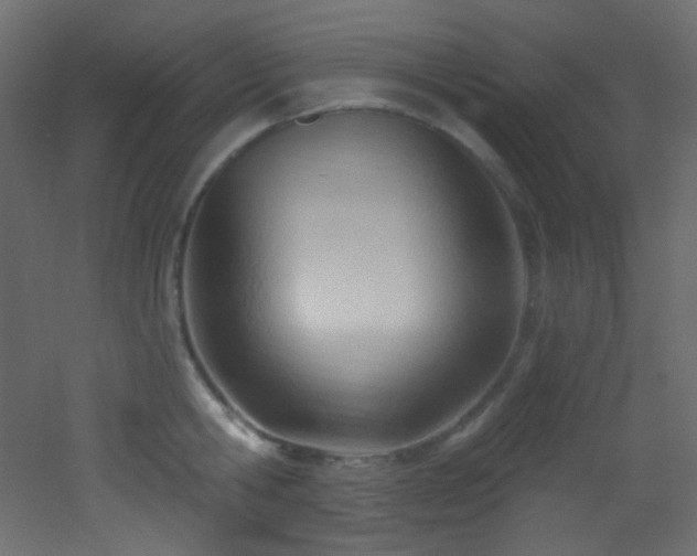 X0000053160806200507111506
