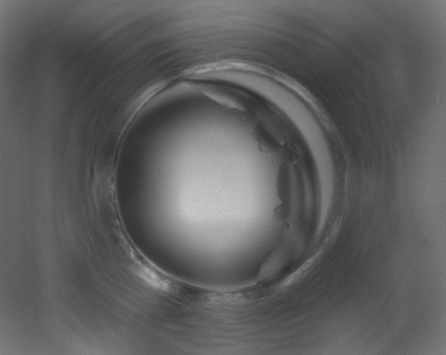 X0000053160809200507111506