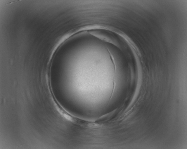 X0000053160813200507111506