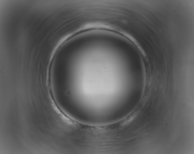 X0000053160815200507111505