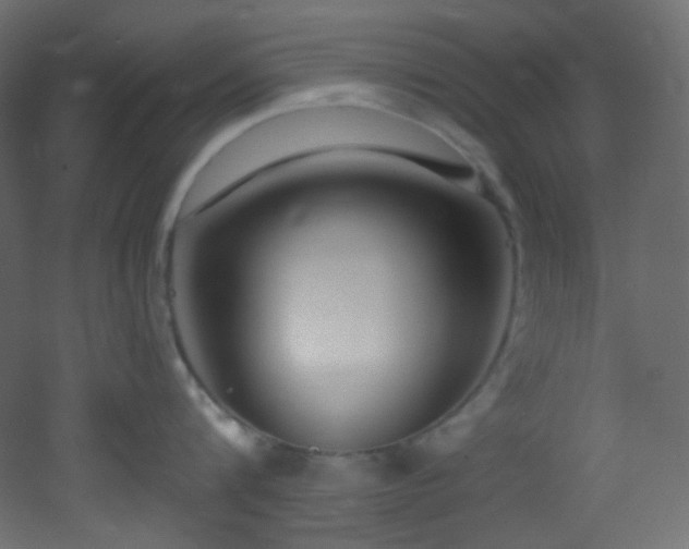 X0000053160816200507111505