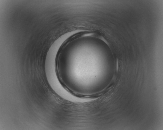 X0000053160818200507111505