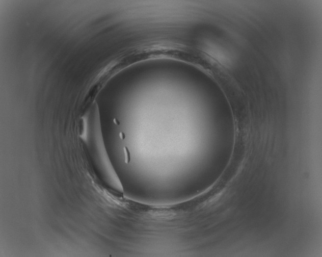 X0000053160825200507111505