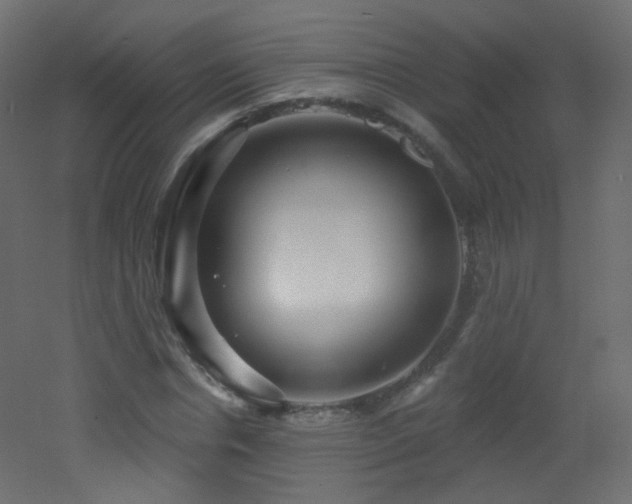 X0000053160826200507111505