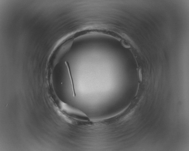 X0000053160830200507111505
