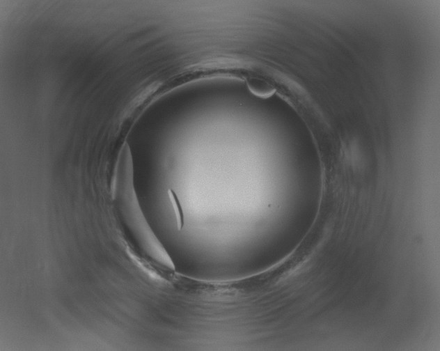 X0000053160833200507111505