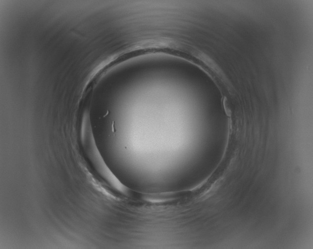 X0000053160834200507111505
