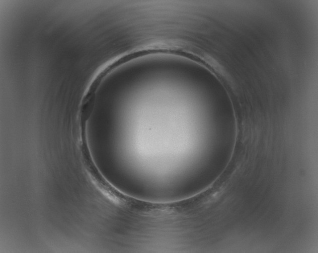 X0000053160838200507111505