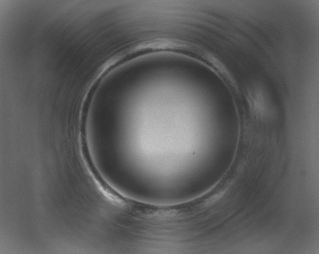 X0000053160845200507111505